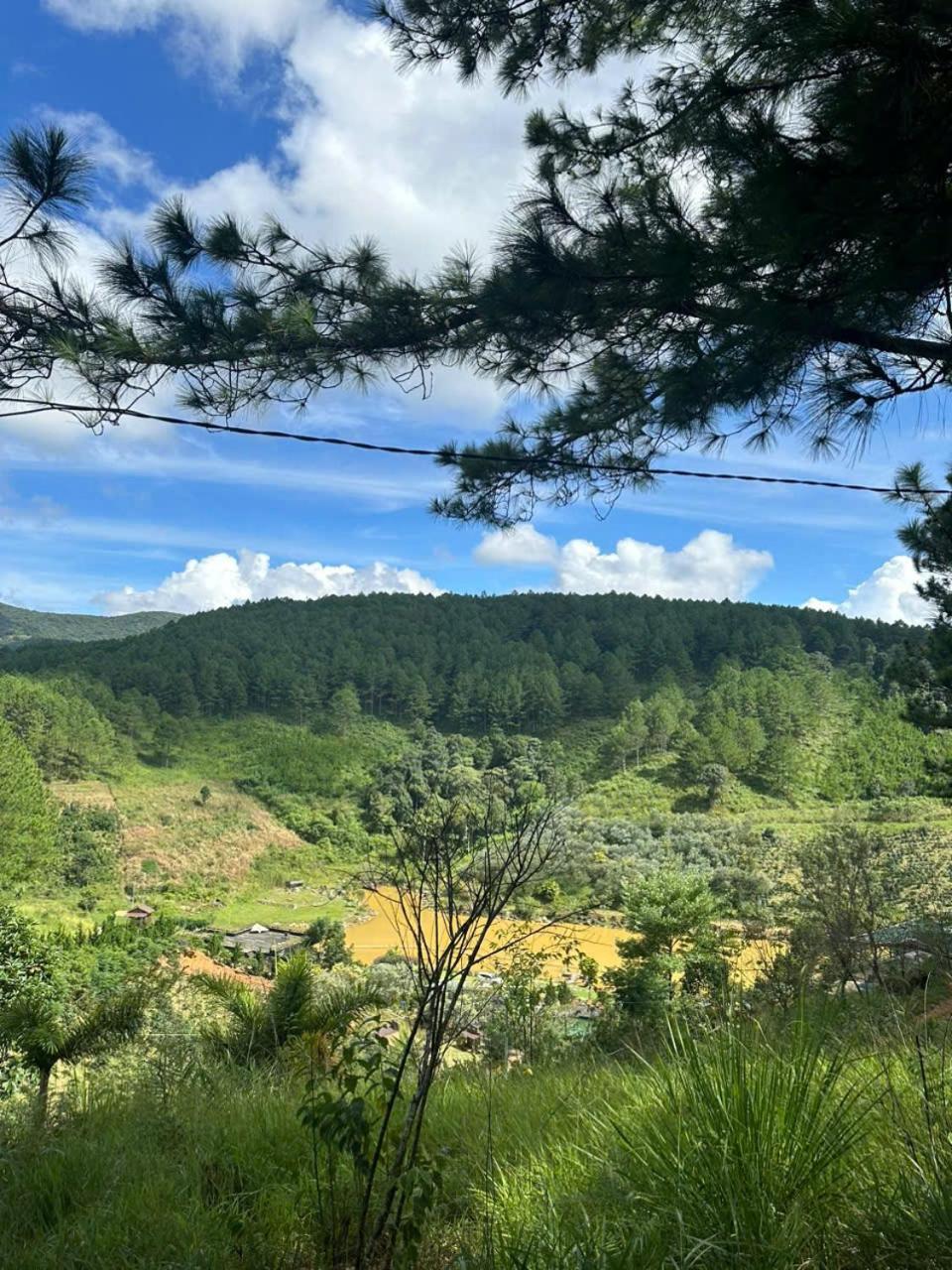 Coco 2 Hotell Dalat Eksteriør bilde